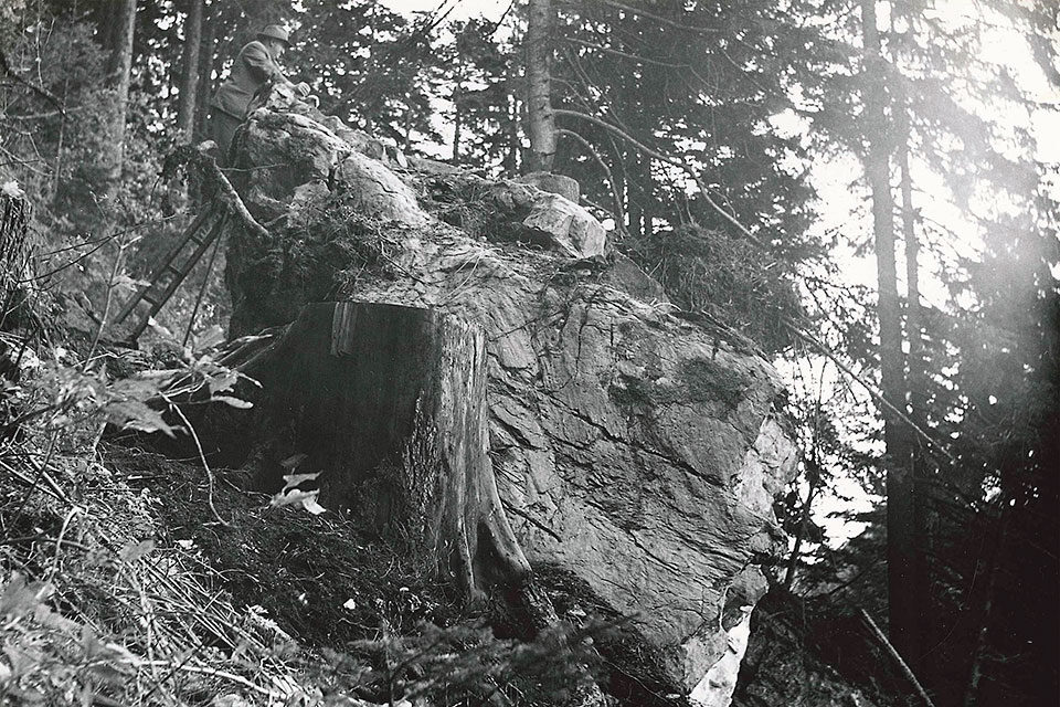 Felsblock oberhalb Giswil, 1960
